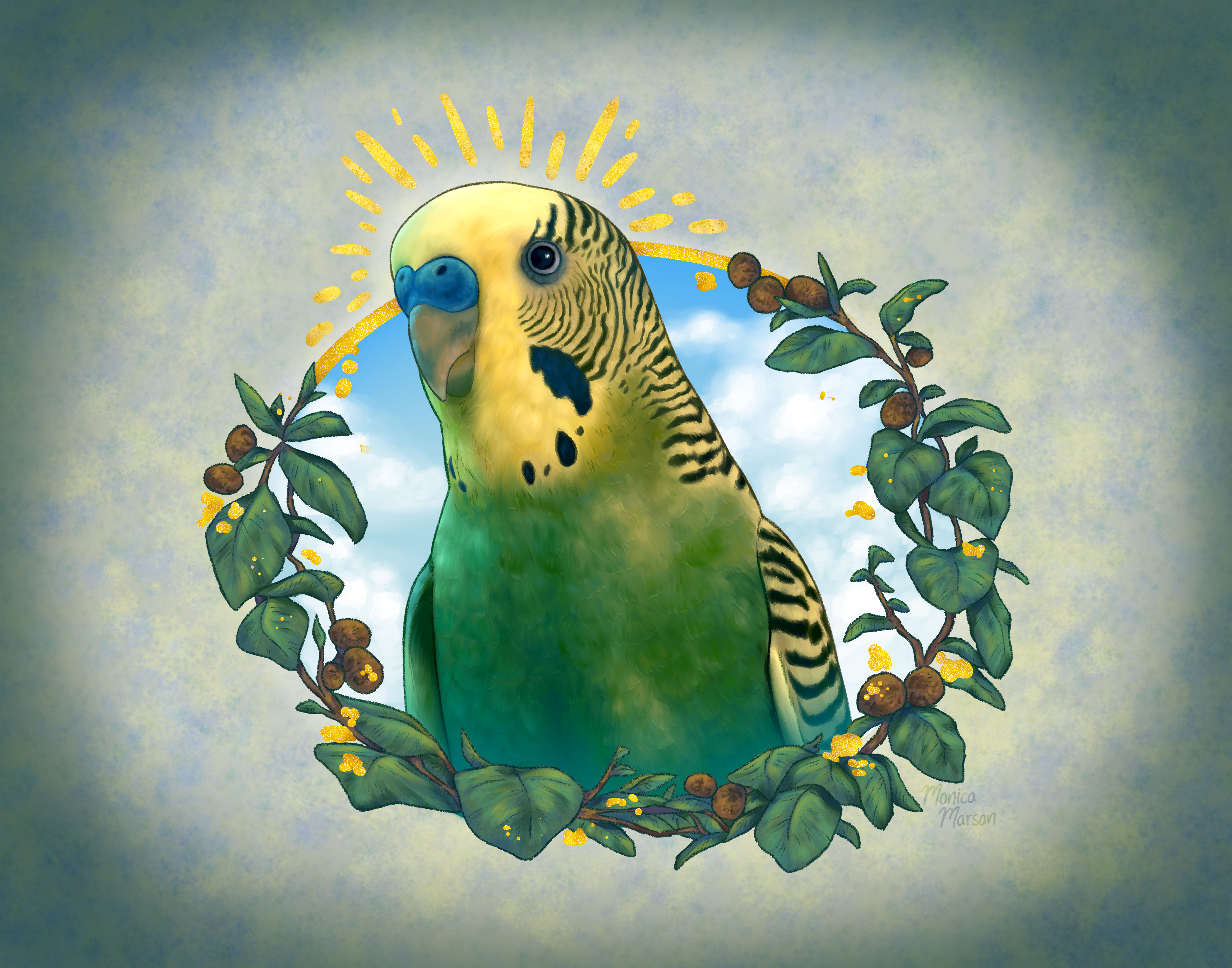 Kiwi